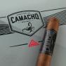 Camacho Coyolar view 2