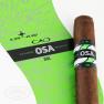 CAO OSA Sol view 2