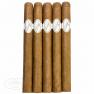 Davidoff Special Series view 2