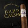 Diamond Crown Julius Caeser view 2