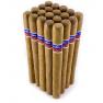 Flor De Oliva Gold view 2