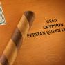 Persian Queen Limitada view 2