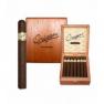 J Fuego Origen Maduro view 2