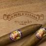 La Perla Habana Morado view 2