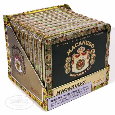 Macanudo Robust Ascot