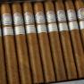 Montecristo Platinum Toro view 2