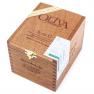 Oliva Serie G Robusto view 2