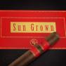 Rocky Patel Sun Grown Petit Corona view 2