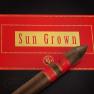 Rocky Patel Sun Grown Torpedo view 2