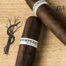 RoMa Craft Intemperance BA XXI view 2